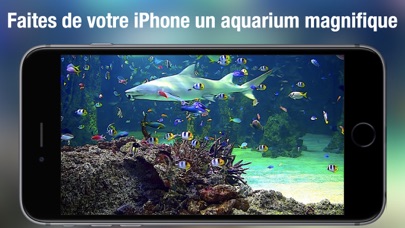 Screenshot #1 pour Aquarium Live HD +