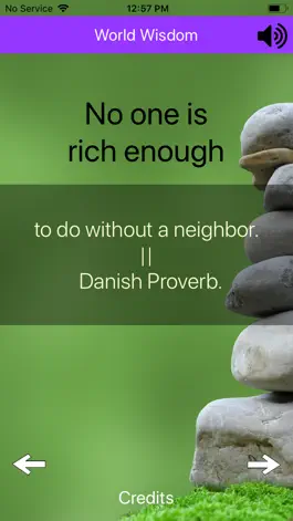 Game screenshot World Wisdom hack