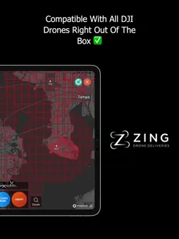 Zing Pilot screenshot 8