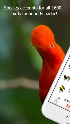 Game screenshot Birds of Ecuador - Field Guide apk