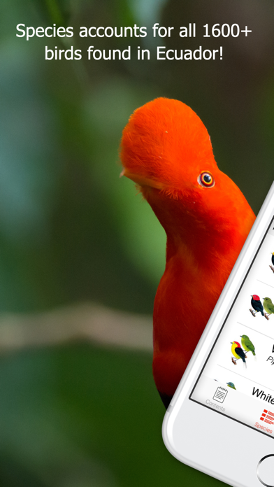 Birds of Ecuador - Field Guide screenshot 2