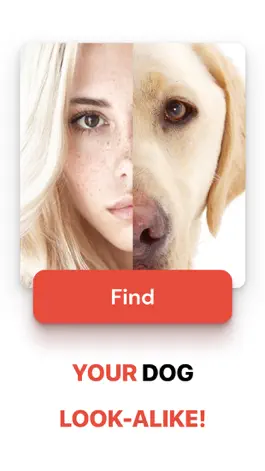 Game screenshot What Dog Do I Look Like ? Twin mod apk