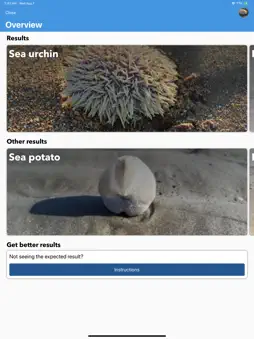 Beach Detector - Your guide screenshot 6