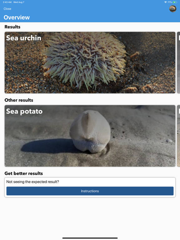 Beach Detector - Your guide