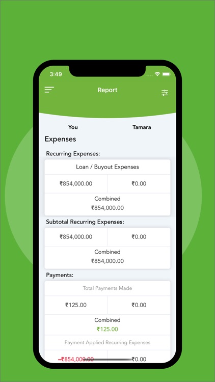 Divorce Ledger screenshot-4