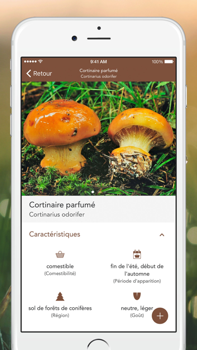 Champignons PRO Champignons PRO