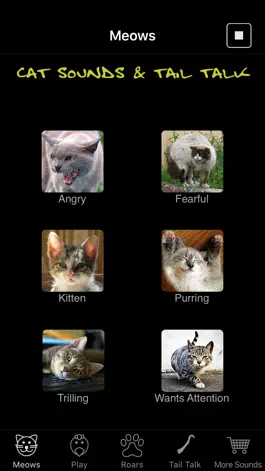 Game screenshot Cat Sounds & Tail Talk mod apk