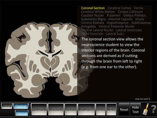 Screenshot #5 pour Cerebrum ID