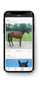 My Horses screenshot #1 for iPhone