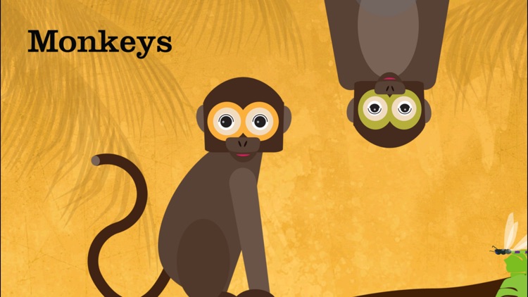 Peek-a-Zoo LITE: Zoo Peekaboo