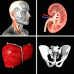 Download Anatomy Quiz+ app