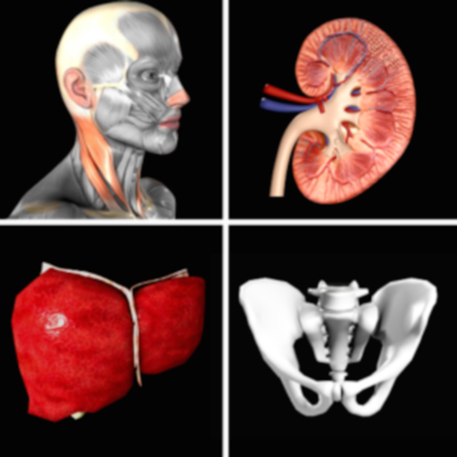 Anatomy Quiz+ App Negative Reviews