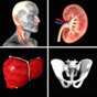 Anatomy Quiz+ app download