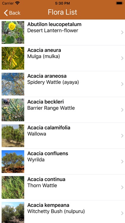 Flinders Ranges Walks screenshot-5