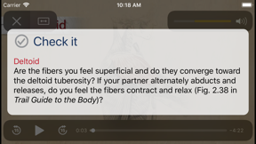 PalpationMapp screenshot