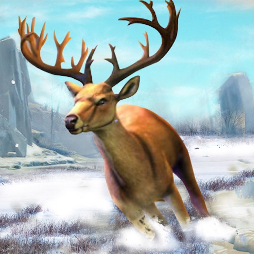 Wild Animal Hunting Jungle 3D