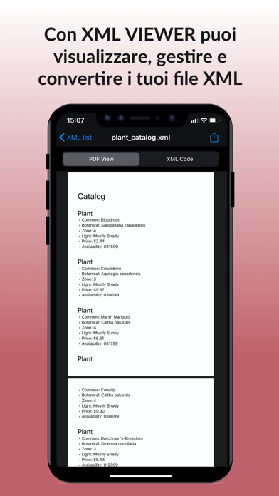 XML Viewer e convertitore PDF screenshot 1