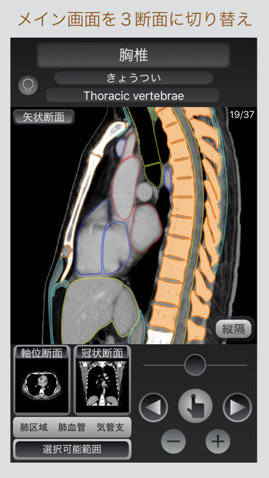 CT Passport 胸部スクリーンショット