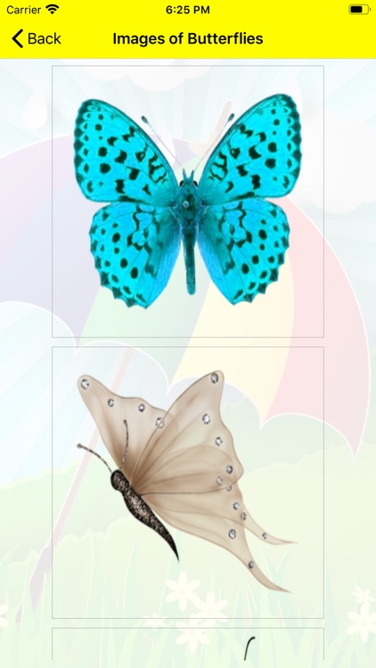 LetsBeStrange screenshot-4