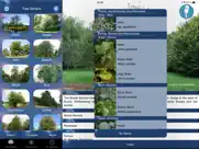 tree id identify uk trees ipad capturas de pantalla 4