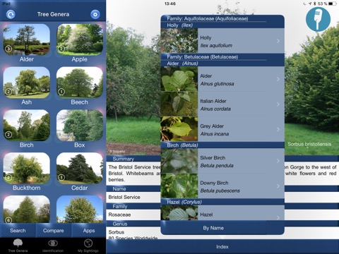 Tree Id identify UK treesのおすすめ画像4