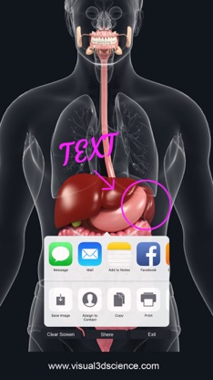 My Digestive System Anatomy screenshot 6