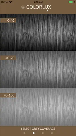 Game screenshot Color Lux hack