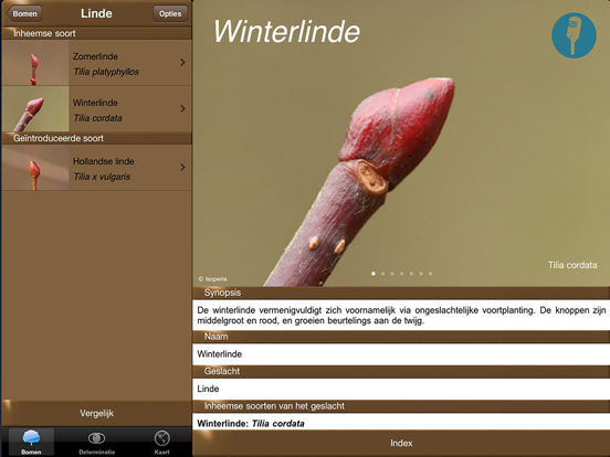 Winter Boom Id iPad app afbeelding 2