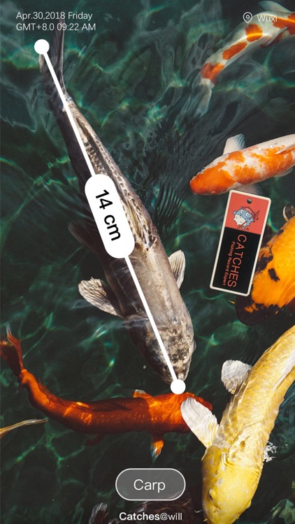 Catches - Fishing Expert