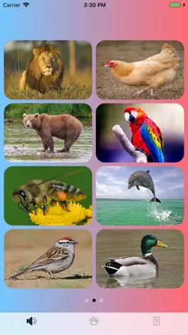 Game screenshot Animal Sounds Magic apk