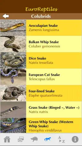 Game screenshot EuroReptiles hack