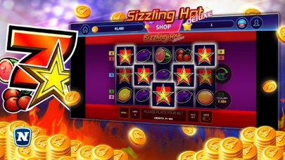 Sizzling Hot™ Deluxe Slot Screenshot