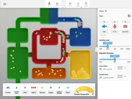 Game screenshot Metabolism Sim mod apk