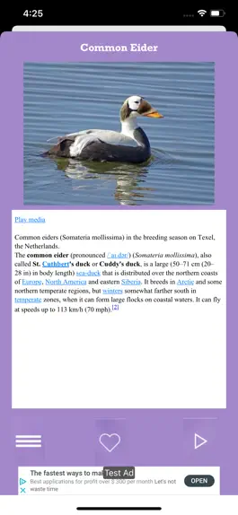 Game screenshot Birds of North America hack