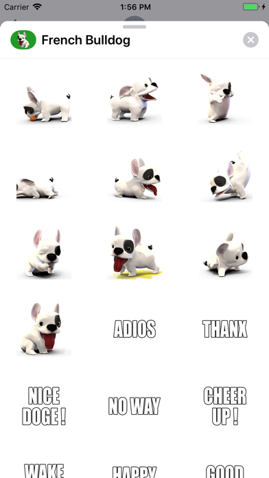 Screenshot #1 pour French Bulldog animated dog