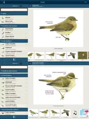 birds of northern europe ipad resimleri 2