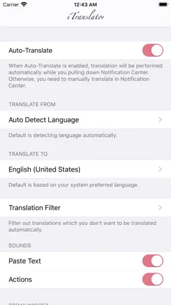 ITranslator Widget 2 iPhone image 4