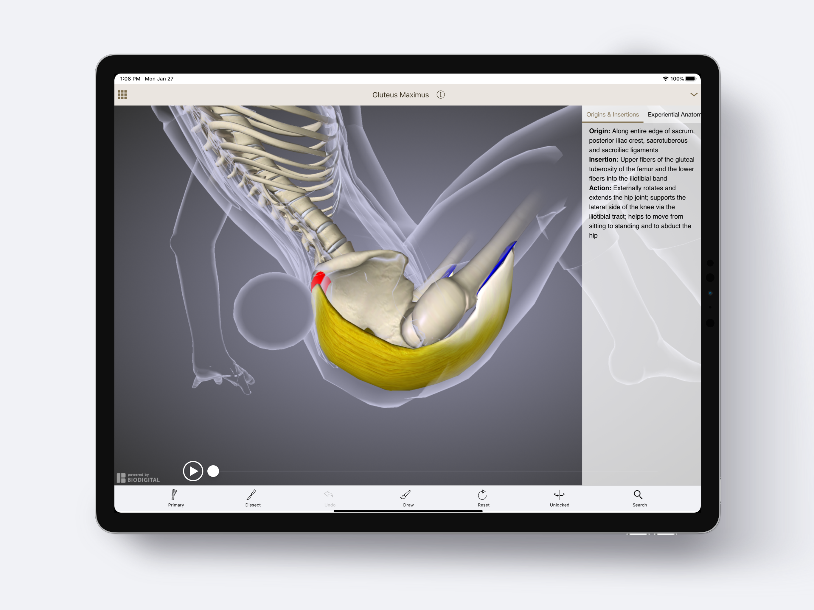 Anatomy U-Experiential Anatomy screenshot 9