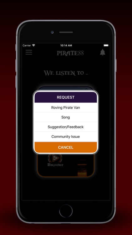 Pirate88 Radio screenshot-5