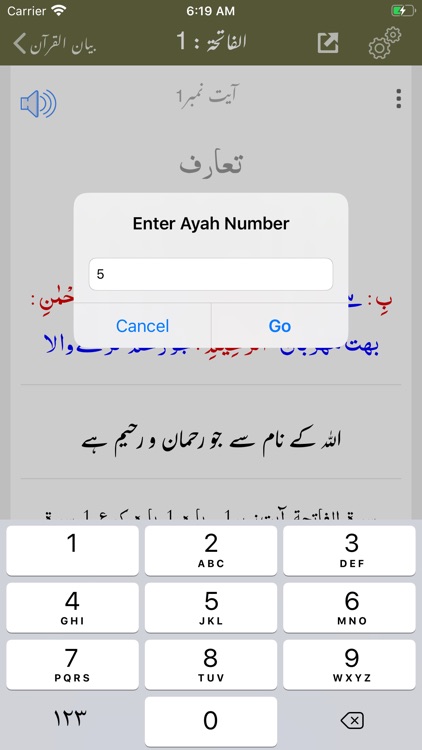 Bayan ul Quran - Tafseer screenshot-6