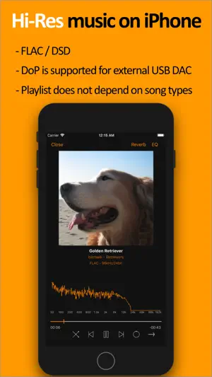 scylla - Hi-Res Music Player screenshot 1