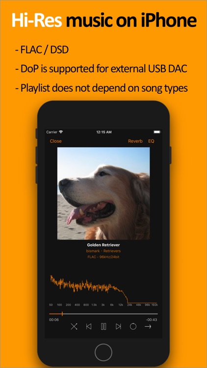scylla - Hi-Res Music Player