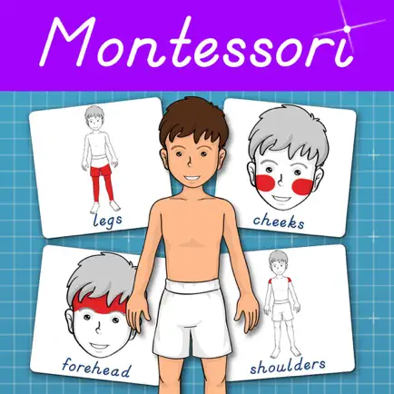 Human Body -Montessori Anatomy Cheats