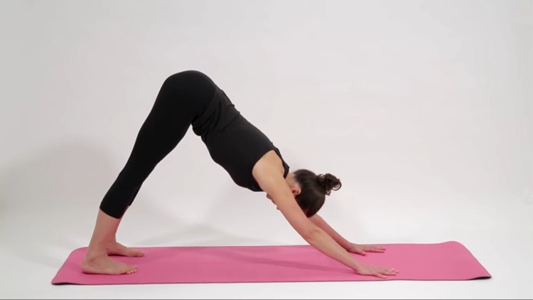 Anatomy & Yoga AR