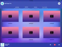 AMI Player Pro screenshot 7