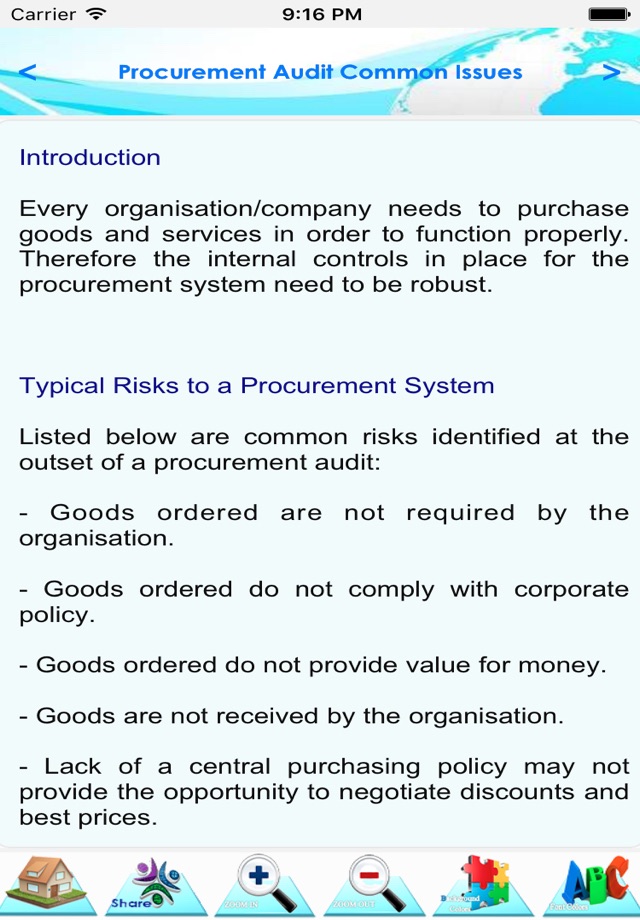 Auditing  Procurement Process screenshot 2