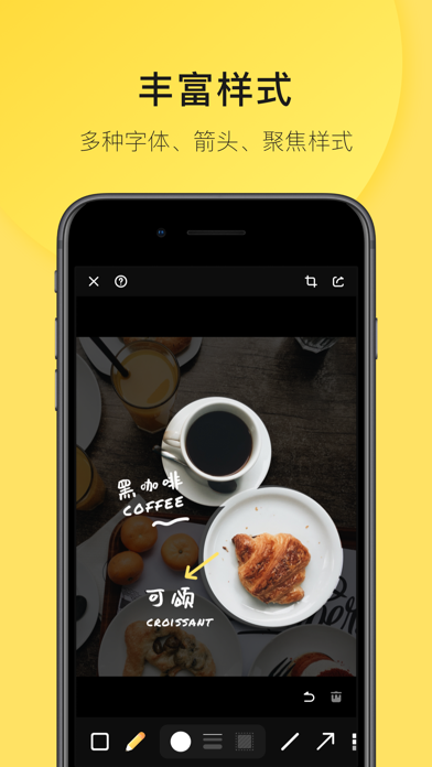 Piiico 图像标注 预览截图