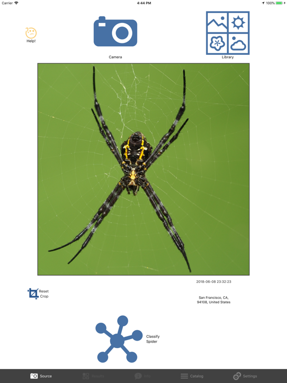 SpiderAI iPad screenshot 1 - Education app