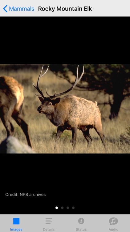 Rocky Mountain NP Field Guide screenshot-4