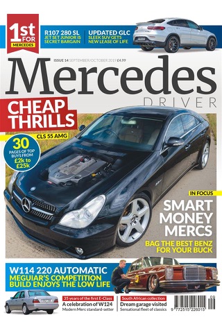 Mercedes Driver - náhled